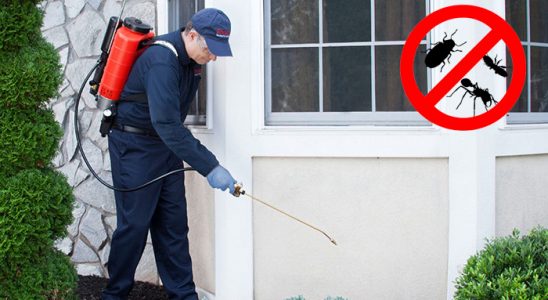 Silivri Kene İlaçlama böcek ilaçlama ve haşere kontrolü — ilaclama-tr.com